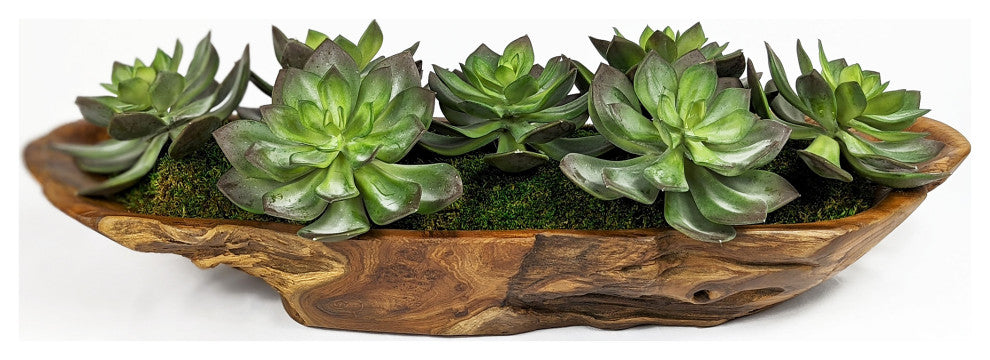 Yuma Succulent Centerpiece