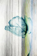 "Water Flower" Fine Art Canvas Print, 16"x24"