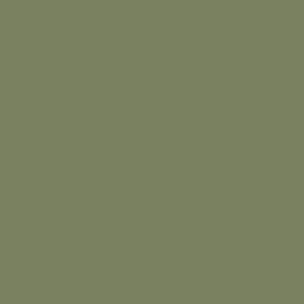 Blazing Needles Renewal 5" Twill Full Futon Mattress, Sage Green