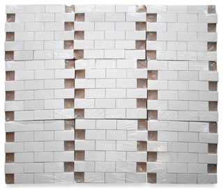 Thassos White Marble 2x4 Brick Subway Mosaic Tile Honed, 1 sheet
