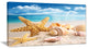 Starfish and Seashells on Beach, Seashore Photo Canvas Art Print, 32"x16"