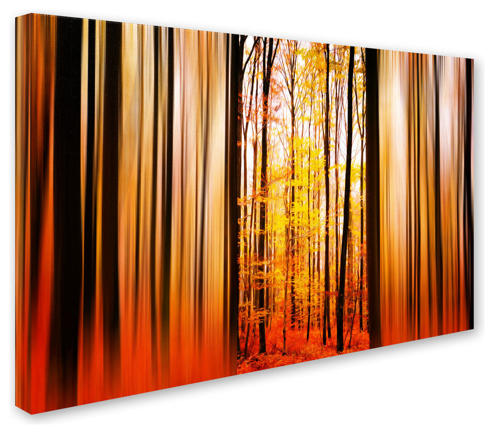 'Excited Oxygen' Canvas Art by Philippe Sainte-Laudy