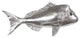 Australian Snapper Fish, Silver Leaf