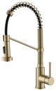 Bolden Commercial Style 2-Function Pull-Down 1-Handle 1-Hole Kitchen Faucet, Brushed Gold