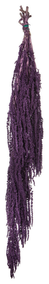 all Natural Amaranthus Bundle, Preserved , Violet, 7-8oz