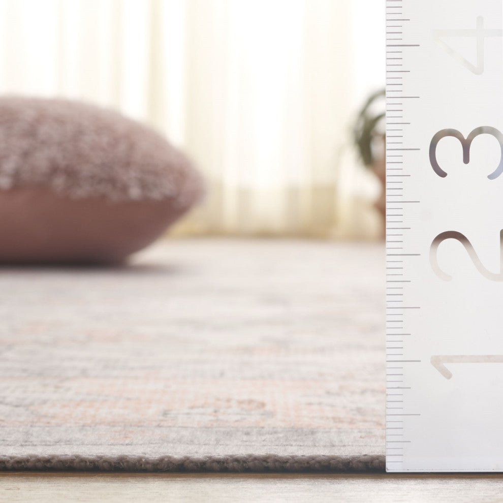 Safavieh Arizona Machine-Washable Collection ARZ249 Rug, Beige/Grey, 6'x9'