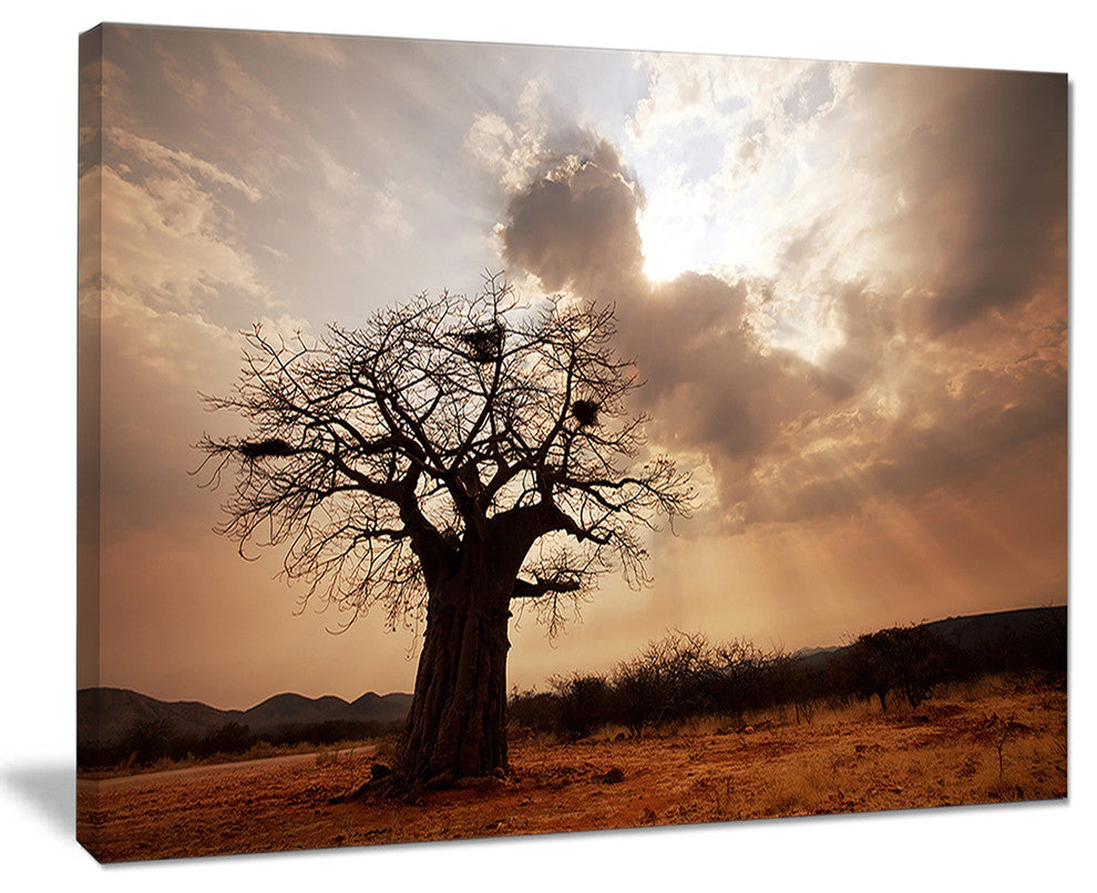"Large Baobab Tree Under Clouds" Modern Landscape Wall Art Canvas, 20"x12"
