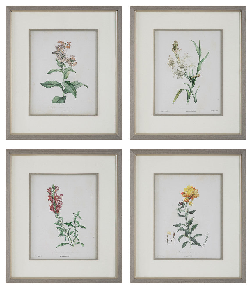 Uttermost 32285 Heirloom Blooms Study Framed Prints 4-Piece Set