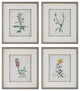 Uttermost 32285 Heirloom Blooms Study Framed Prints 4-Piece Set