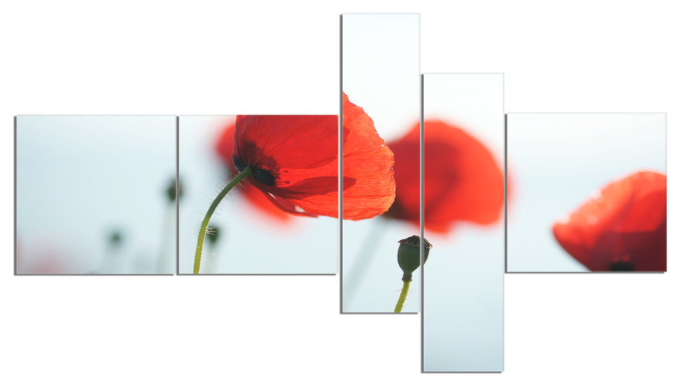 Poppies on Background of Sea, Floral Canvas Art Print, 60"x32", 5 panels