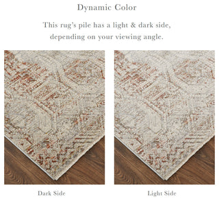 Frencess R39GK Transitional/Casual/Vintage Rug, Gray/Rust, 2'6"x12' Runner