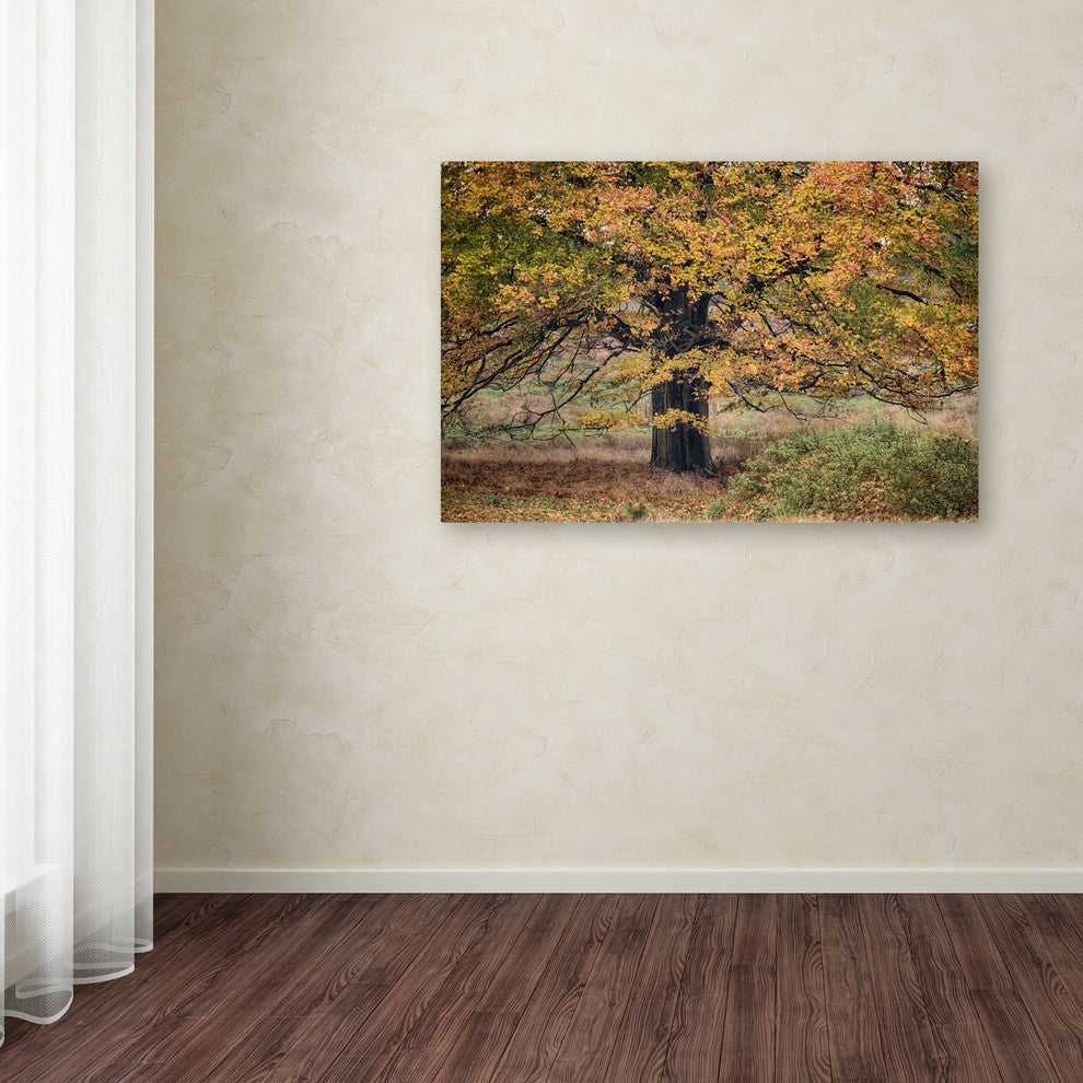 Cora Niele ''Beech Tree'' Canvas Art