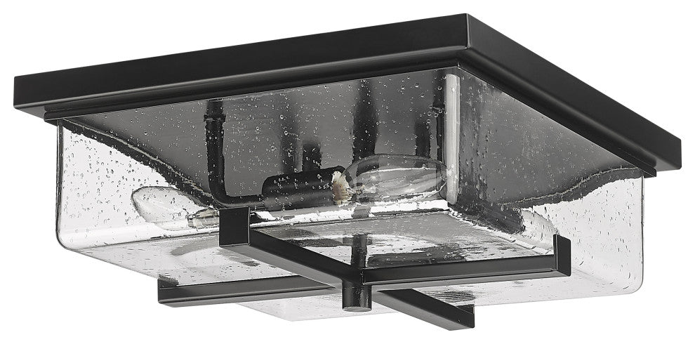 Zlite 592F-BK 4-Light Outdoor Flush Ceiling Mount Fixture, Seedy