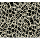 Leopard Rosettes Wallpaper