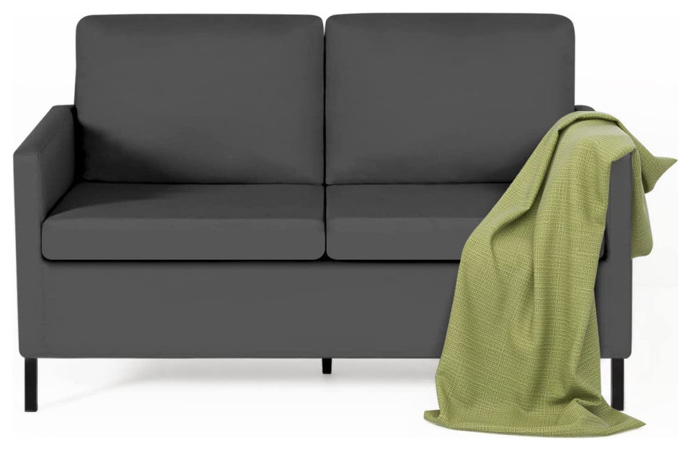 Modern Loveseat Sofa Couch for Living Room