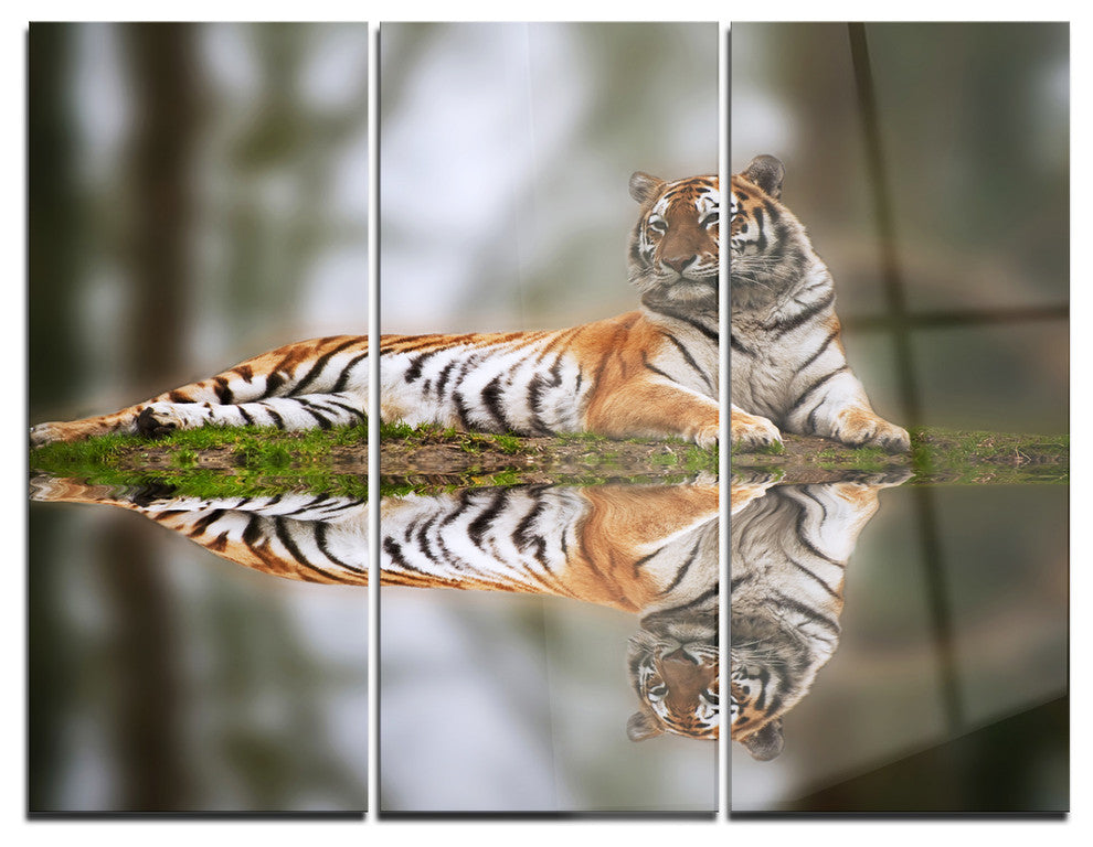 "Tiger Reflecting in Water" Photography Metal Wall Art, 3 Panels, 36"x28"