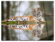"Tiger Reflecting in Water" Photography Metal Wall Art, 3 Panels, 36"x28"