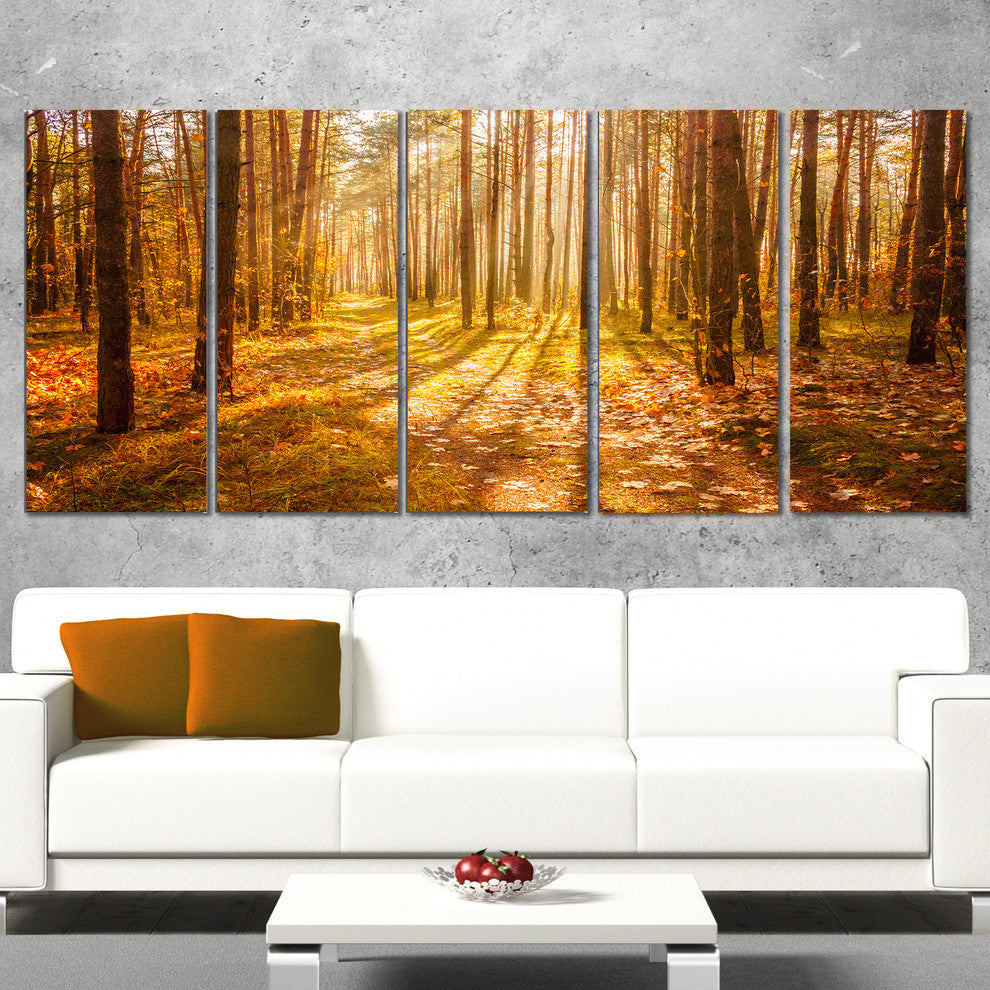 Bright Sunlight in Yellow Fall Forest, Forest Canvas Art, 60"x28", 5 Panels