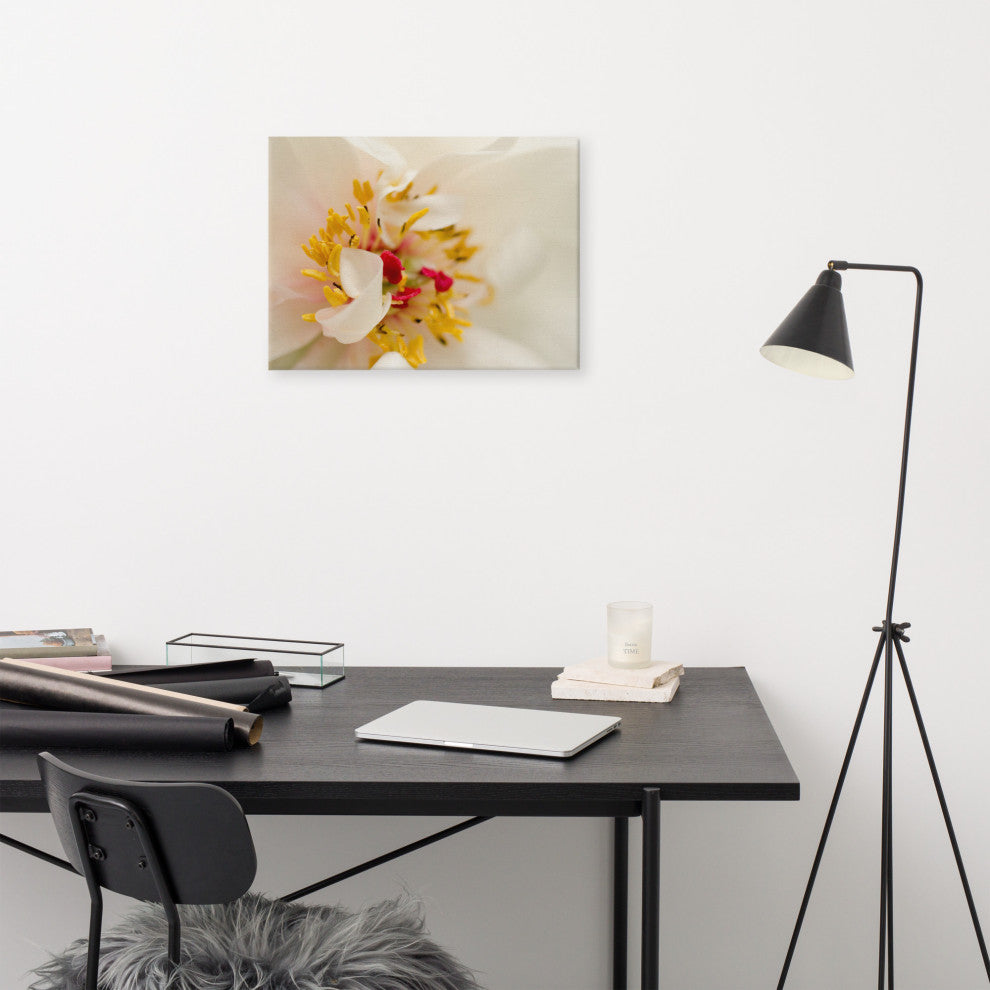 Eye of Peony Floral Nature Photography Canvas Wall Art Print, 18" X 24"