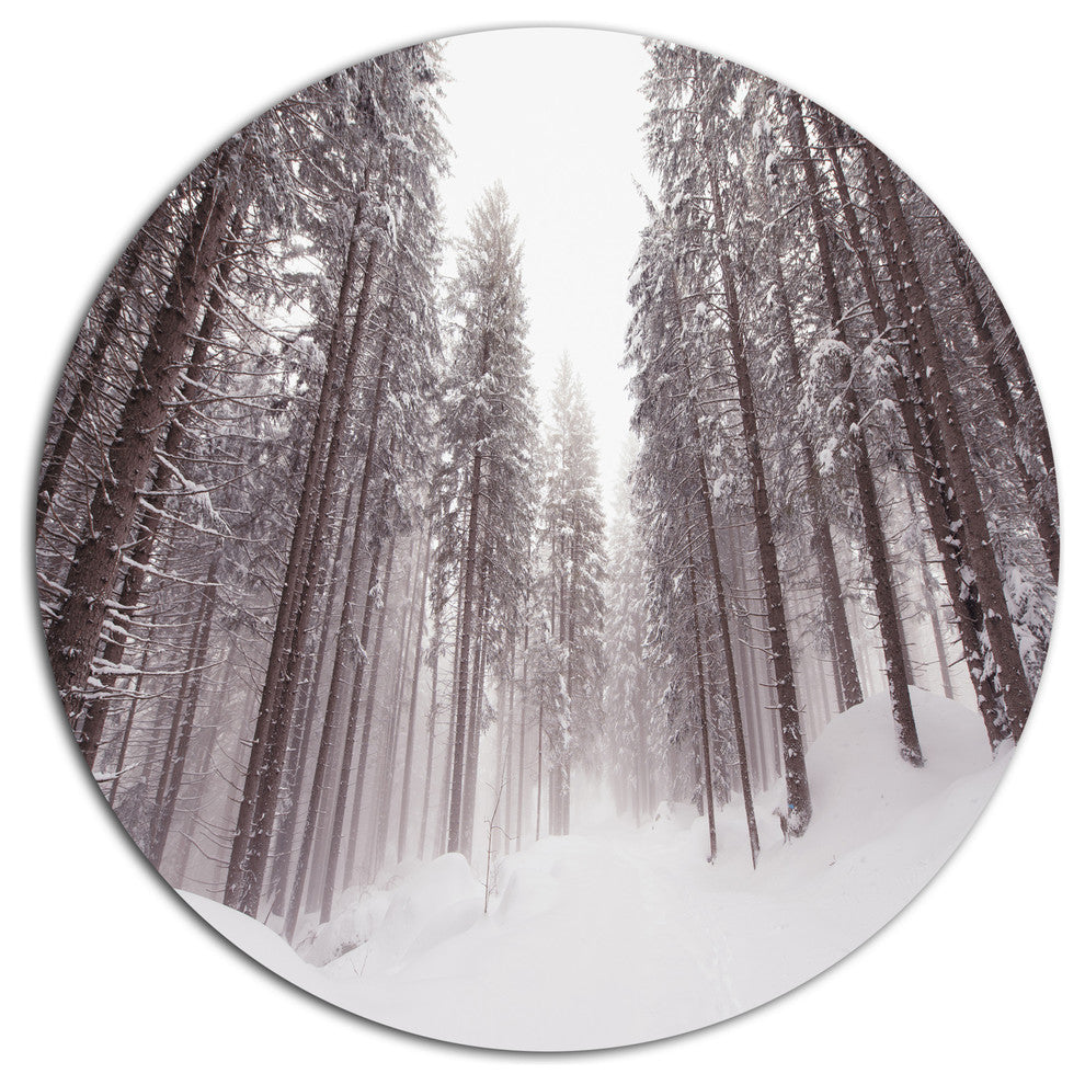 Winter Scenery In Trentino Alto Adige, Forest Disc Metal Wall Art, 38"