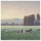 "Farm Life V" Digital Paper Print by James Wiens, 20"x20"