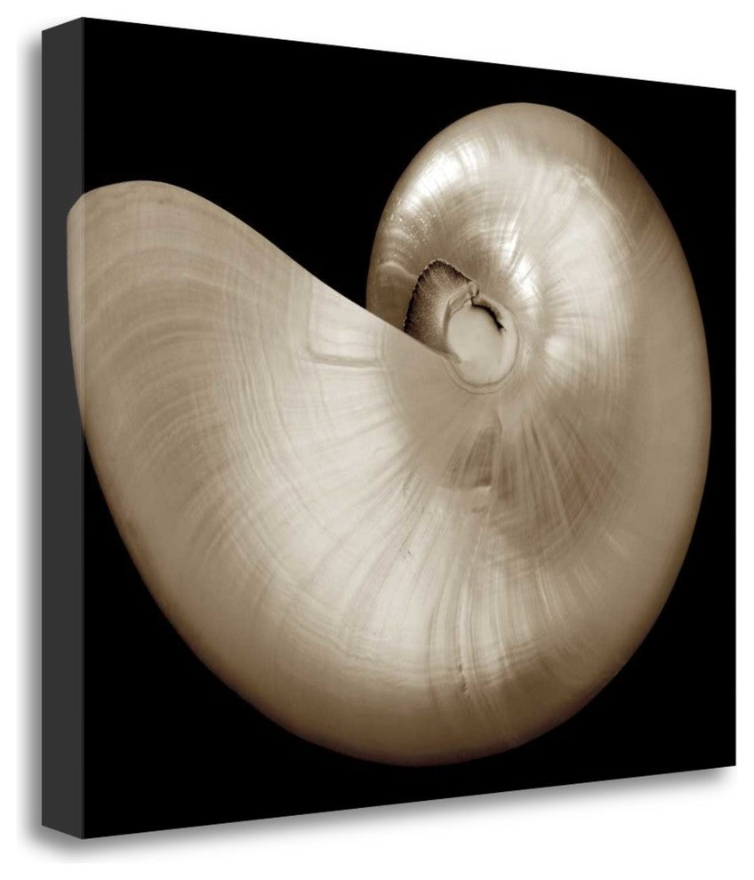 "Ocean Keepsake I" By Charles Britt, Giclee Print on Gallery Wrap Canvas