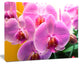 Beautiful Purple Orchid Flowers, Large Flower Canvas Art Print, 20"x12"