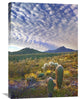 "Saguaro And Teddybear Cholla Amid Lupine And California Brittlebush" Artwork