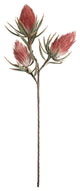 Botanica #809