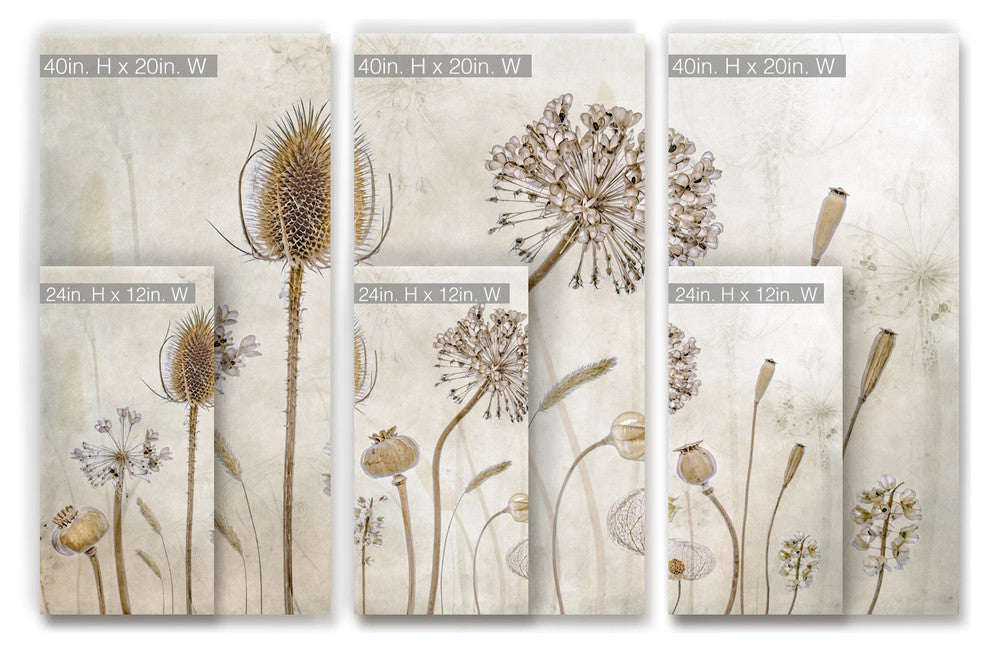 Ready2HangArt 'Growing Old' 3-Piece Canvas Wall Decor Set, 60"x40"