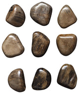 Uttermost 04323 Pebbles Walnut Wood Wall Decor Set of 9