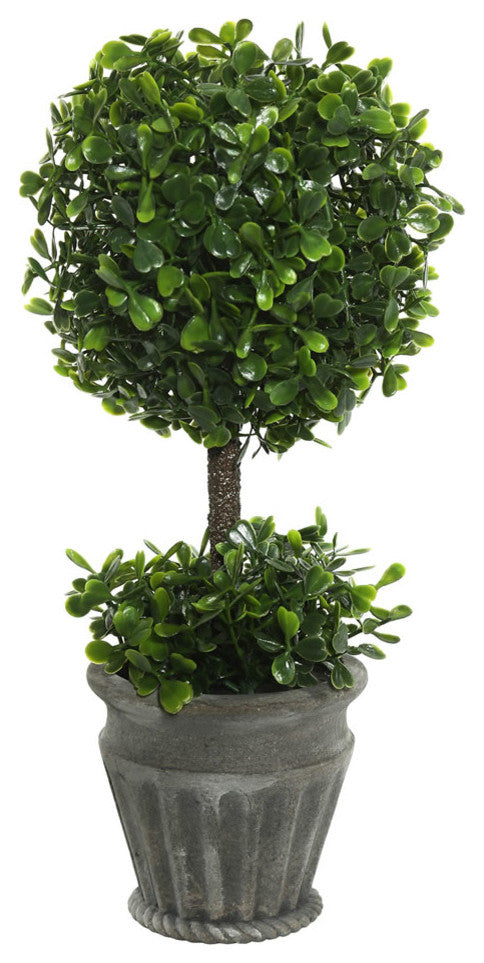 13" Boxwood Topiary In Container