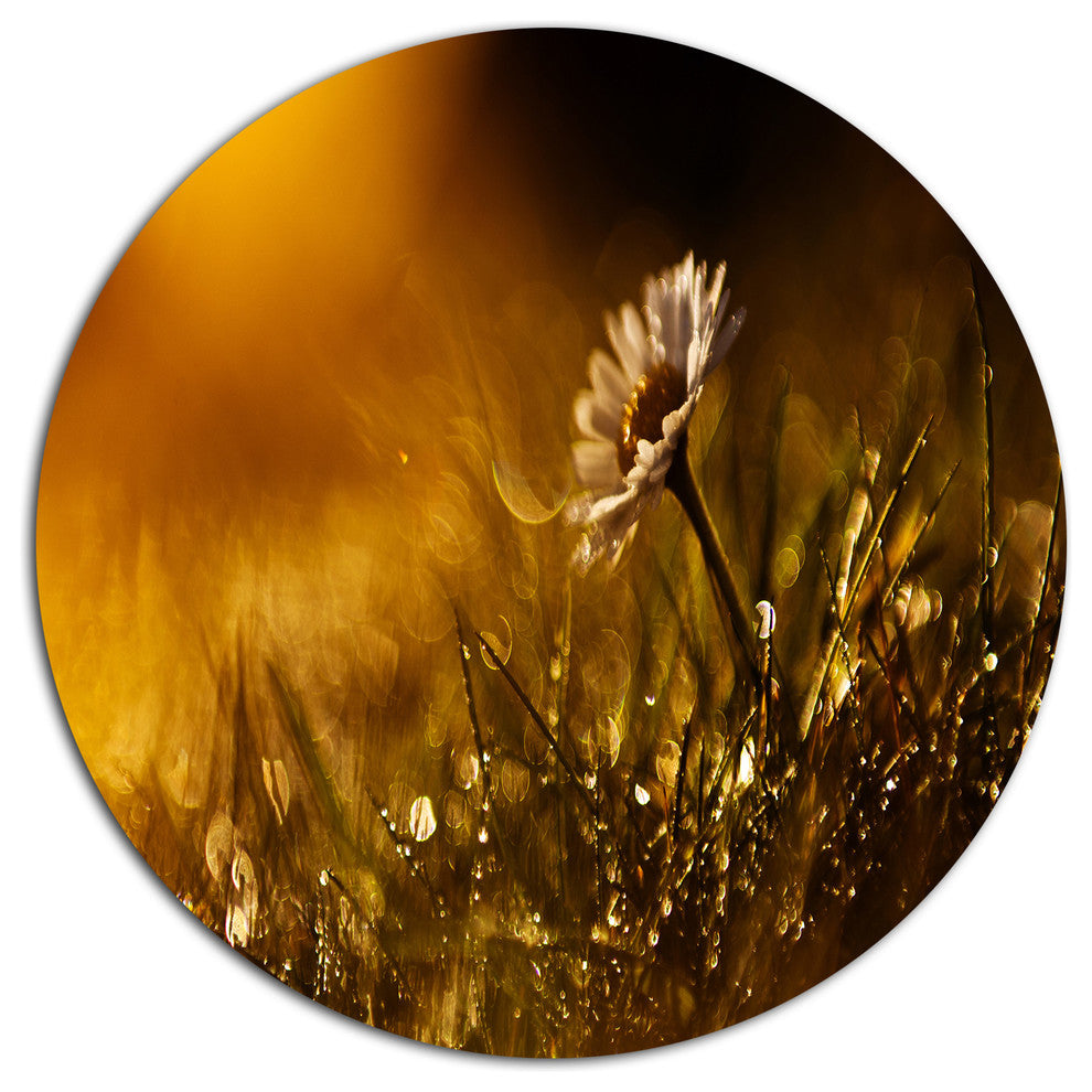 Vintage Wild Flower In Sunset, Modern Flower Round Wall Art, 23"