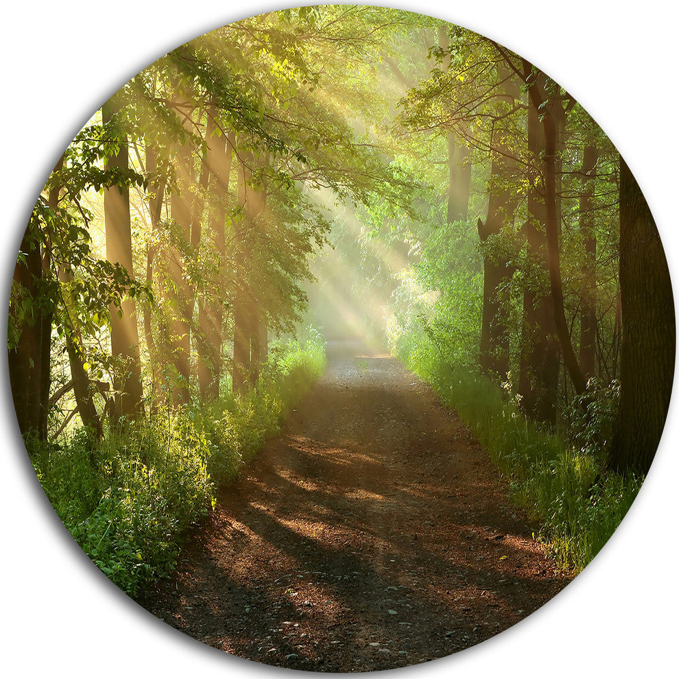 Suns Peeks Into Forest, Landscape Photo Disc Metal Wall Art, 23"