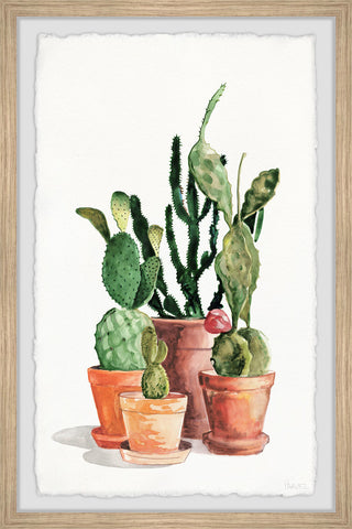 "Cactus Variety" Framed Painting Print, 8"x12"
