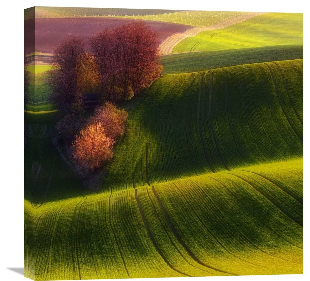 "Green Fields" Stretched Canvas Giclee by Piotr (Bax) Krol, 22"x22"