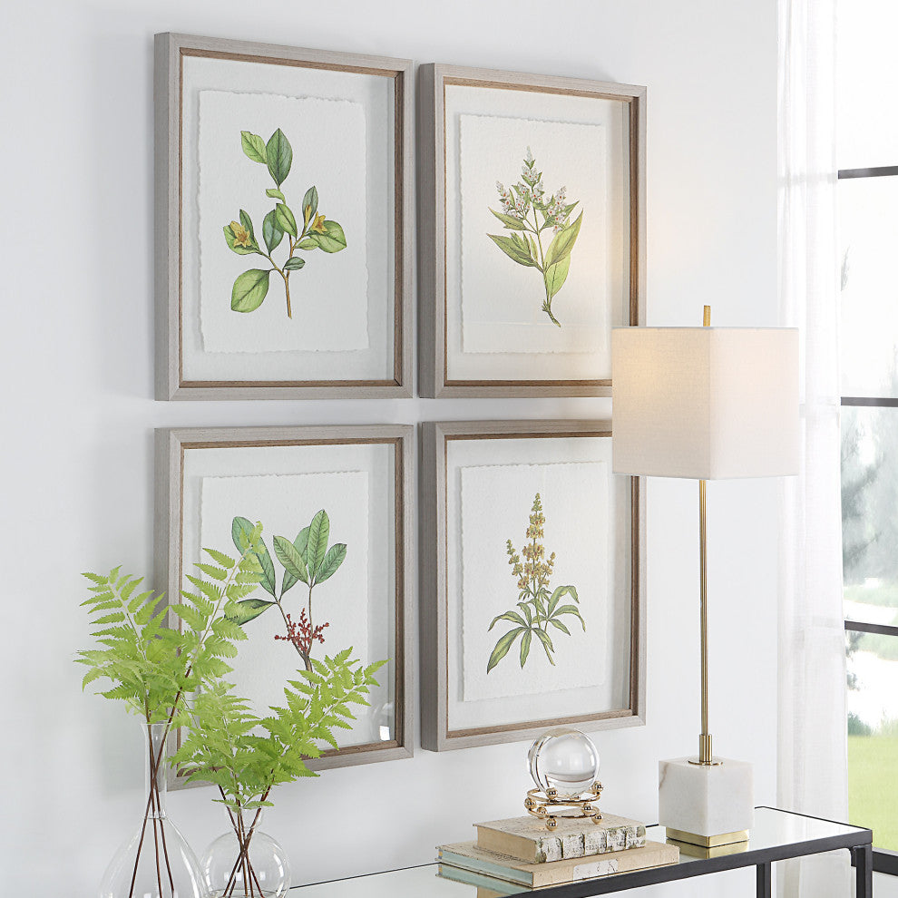 Uttermost Wildflower Study Plastic Paper Prints in Brown/Green/White (Set of 4)