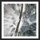 "White Terrain" Framed Print by Karolis Janulis