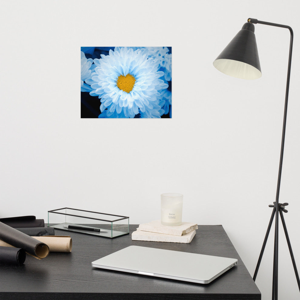Blue Tinted Chrysanthemums Floral Nature Photo Loose Wall Art Print, 11" X 14"