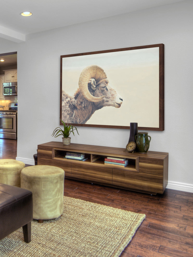 Marmont Hill, "Curled Horns" Framed Painting Print, 24x16