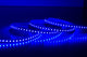 24V Super Bright Blue LED Light Strip Wtih UL Power Supply