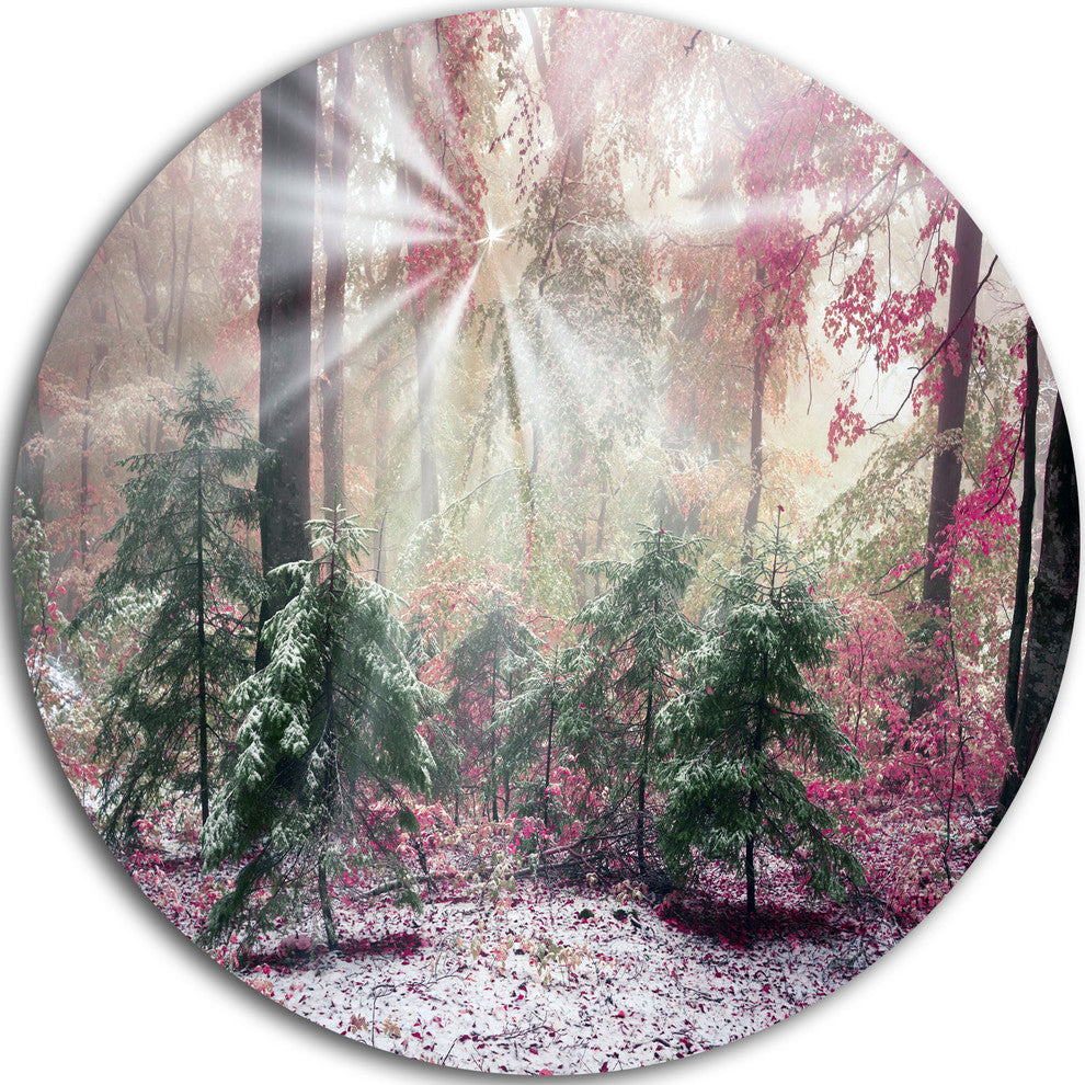 Purple Forest With Sun Rays, Landscape Photo Round Wall Art, 38"
