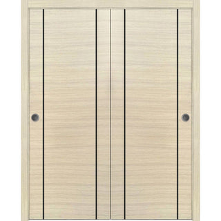 Bypass Doors 64 x 96 | Planum 0017 Natural Veneer with  | Sturdy Rails