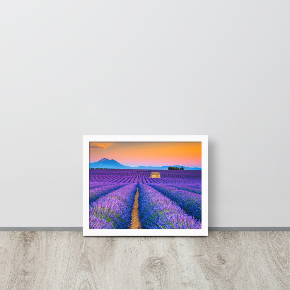 Blooming Lavender Field and Sunset Floral Landscape Framed Photo Wall Art Prints, White, 11" X 14"