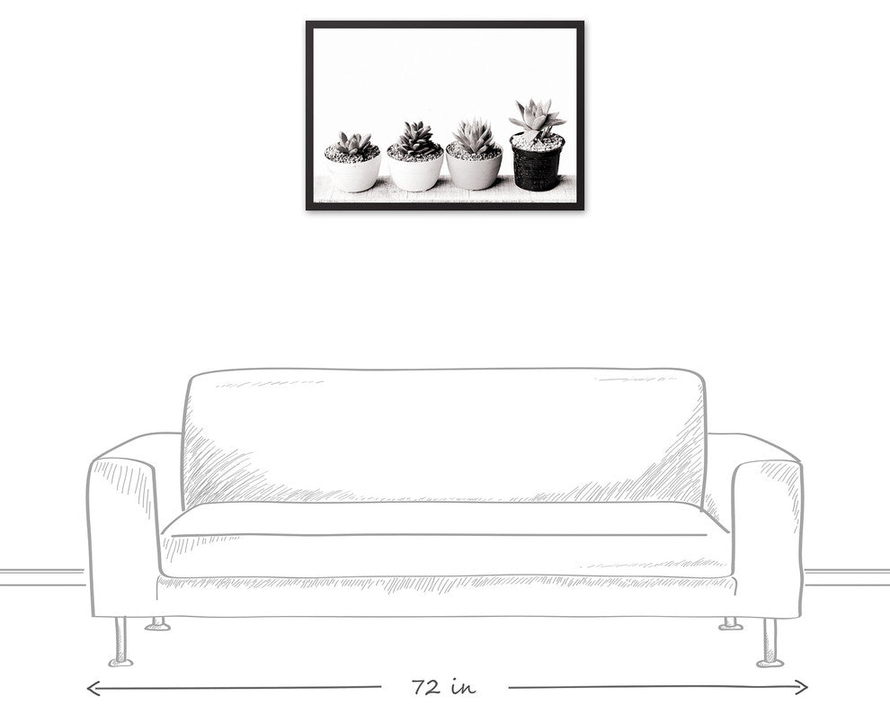 Black and White Succulents 20x30 Black Framed Canvas
