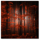 'Red Parallel Universe' Canvas Art by Philippe Sainte-Laudy