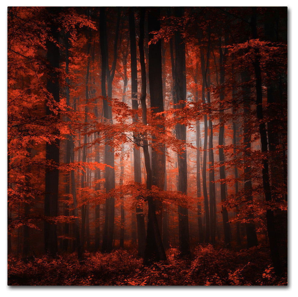 'Red Parallel Universe' Canvas Art by Philippe Sainte-Laudy