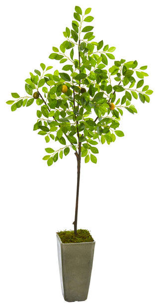 Full product on white background; no text overlays or diagrams; shows entire tree in olive-green planter.