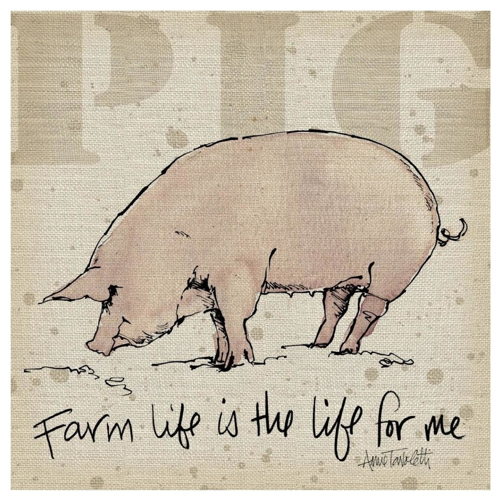 "Farm Life II" Digital Paper Print by Anne Tavoletti, 42"x42"