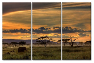 Africa' Canvas Wall Decor Set 3-Panels